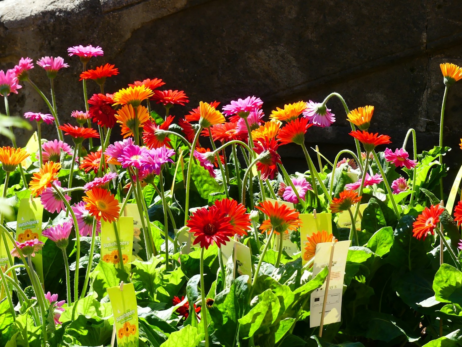 5 iniziative per migliorare Viterbo